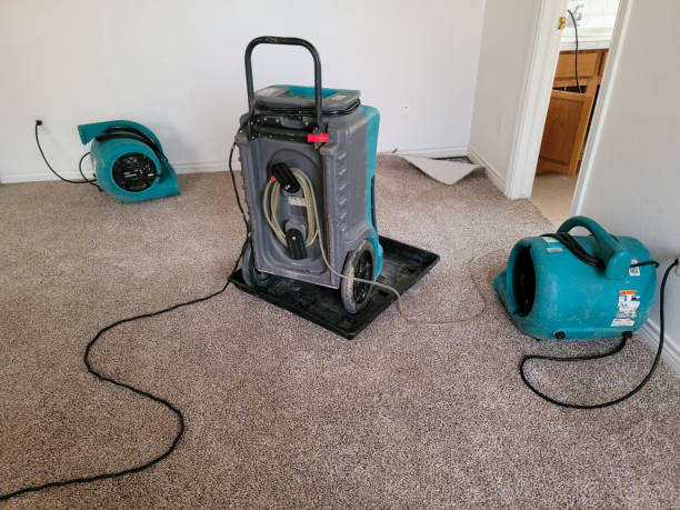 Best Carpet water damage restoration  in Nedrow, NY