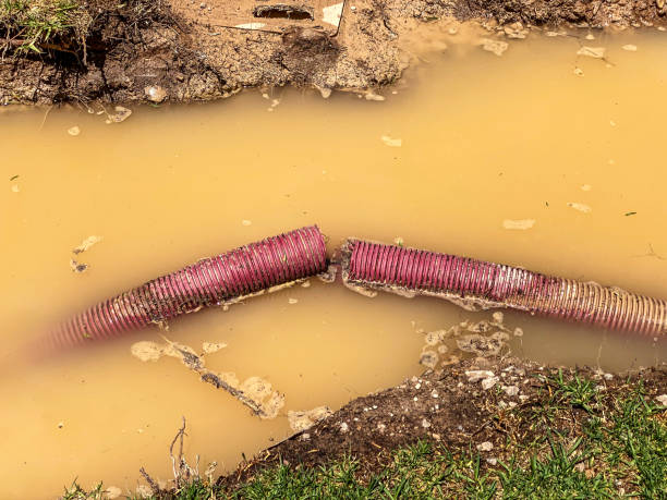 Best 24-hour water damage restoration  in Nedrow, NY